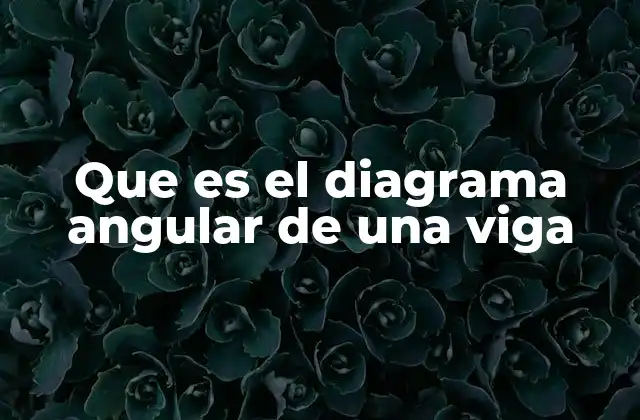 Que es el Diagrama Angular de una Viga