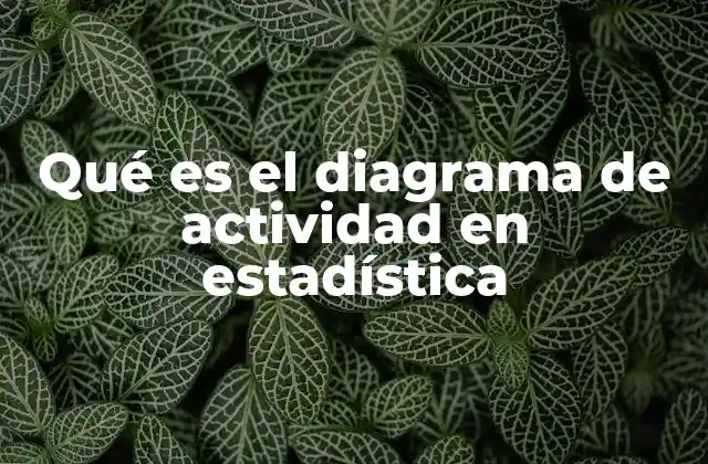 Qué es el Diagrama de Actividad en Estadística