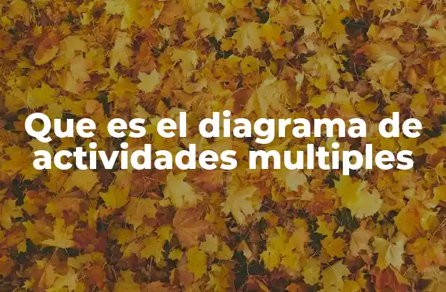 Que es el Diagrama de Actividades Multiples