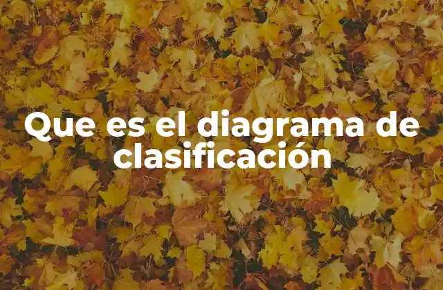 Que es el Diagrama de Clasificación
