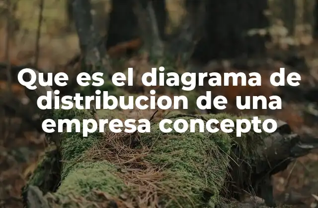 Que es el Diagrama de Distribucion de una Empresa Concepto