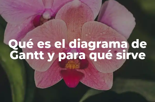 Qué es el Diagrama de Gantt y para Qué Sirve 2 Qué es el Diagrama de Gantt y para Qué Sirve