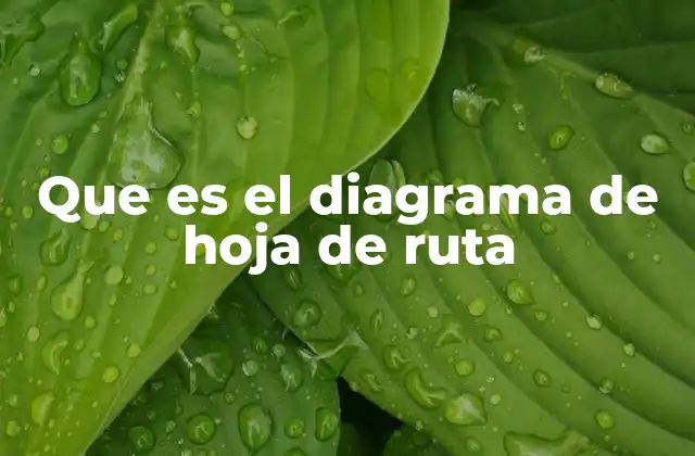 Que es el Diagrama de Hoja de Ruta