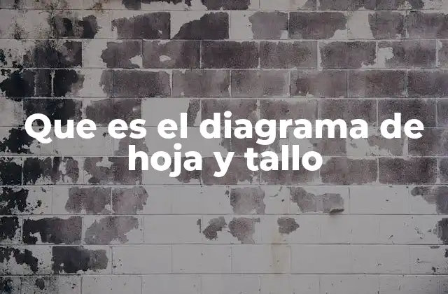 Que es el Diagrama de Hoja y Tallo