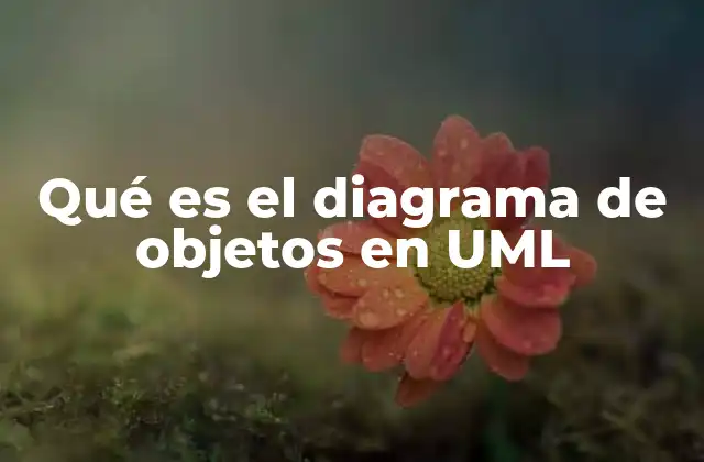 Qué es el Diagrama de Objetos en Uml