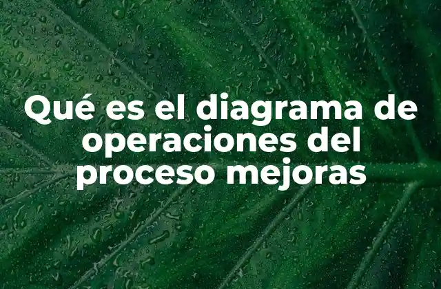 Qué es el Diagrama de Operaciones Del Proceso Mejoras