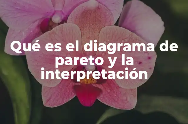 Qué es el Diagrama de Pareto y la Interpretación 2 La importancia del diagrama de Pareto en la toma de decisiones empresariales
