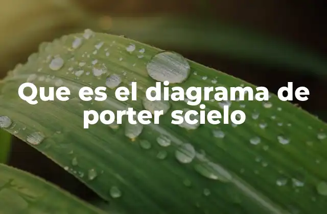 Aplicaciones del modelo de Porter en diferentes sectores