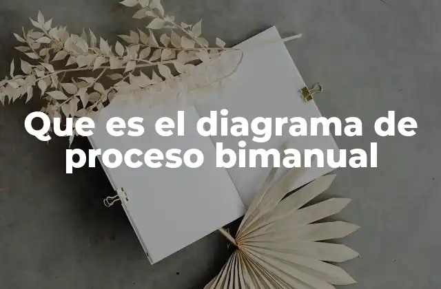 Que es el Diagrama de Proceso Bimanual