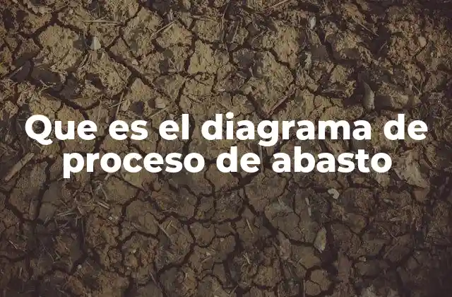 Que es el Diagrama de Proceso de Abasto