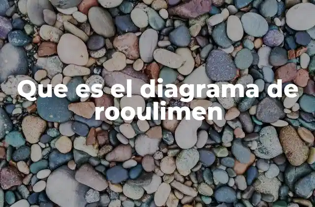 Que es el Diagrama de Rooulimen