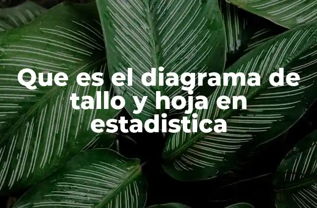 Que es el Diagrama de Tallo y Hoja en Estadistica 2 Cómo se construye un diagrama de tallo y hoja