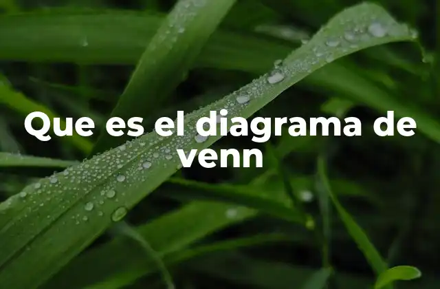 Representación visual y comprensión lógica