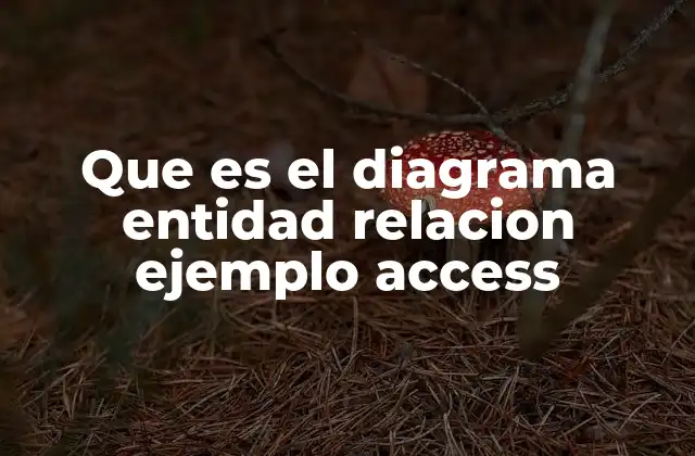 Que es el Diagrama Entidad Relacion Ejemplo Access