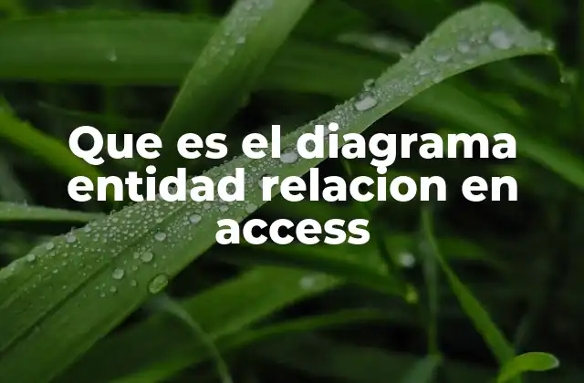 Que es el Diagrama Entidad Relacion en Access
