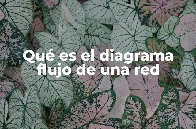 Qué es el Diagrama Flujo de una Red
