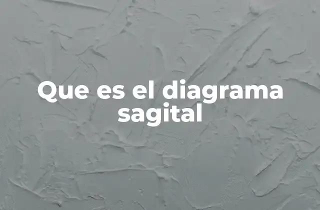 Que es el Diagrama Sagital
