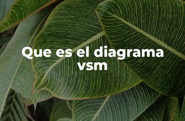 Que es el Diagrama Vsm