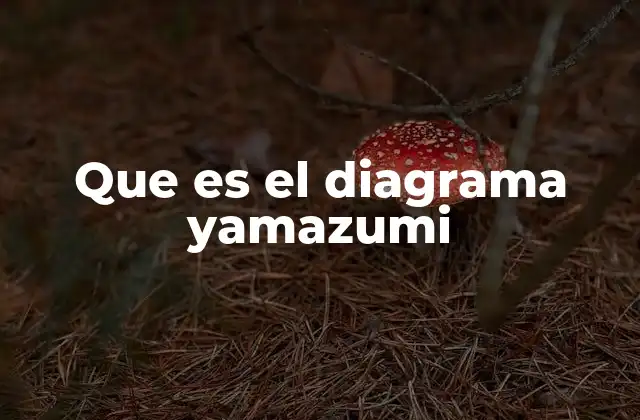 Que es el Diagrama Yamazumi