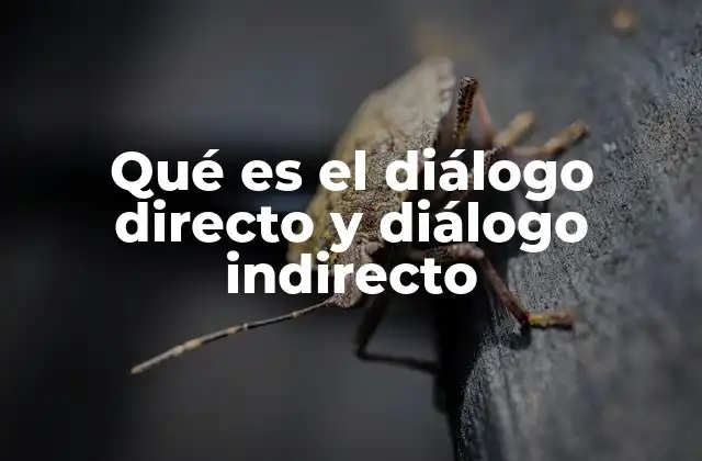 Qué es el Diálogo Directo y Diálogo Indirecto
