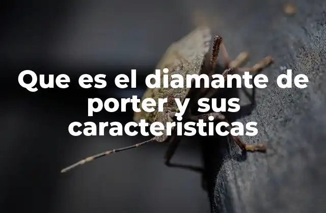 Factores que conforman el modelo del diamante de Porter