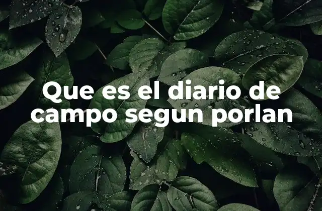 Que es el Diario de Campo Segun Porlan 2 El diario de campo como herramienta de comprensión social