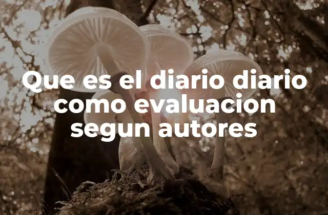 Que es el Diario Diario como Evaluacion Segun Autores