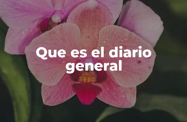 Que es el Diario General
