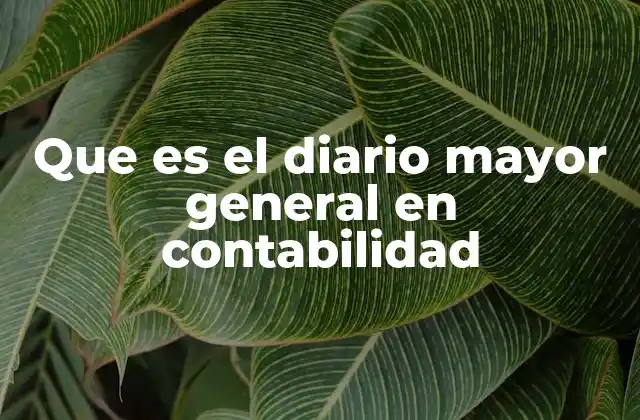 Que es el Diario Mayor General en Contabilidad