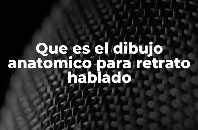 Que es el Dibujo Anatomico para Retrato Hablado