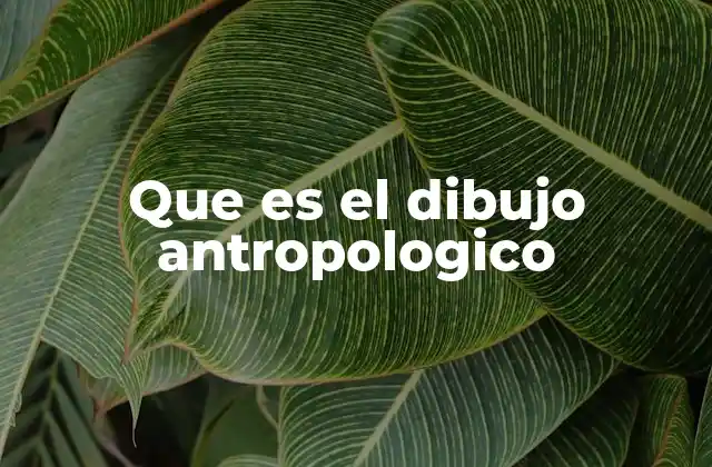 Que es el Dibujo Antropologico