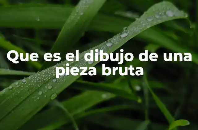 Que es el Dibujo de una Pieza Bruta