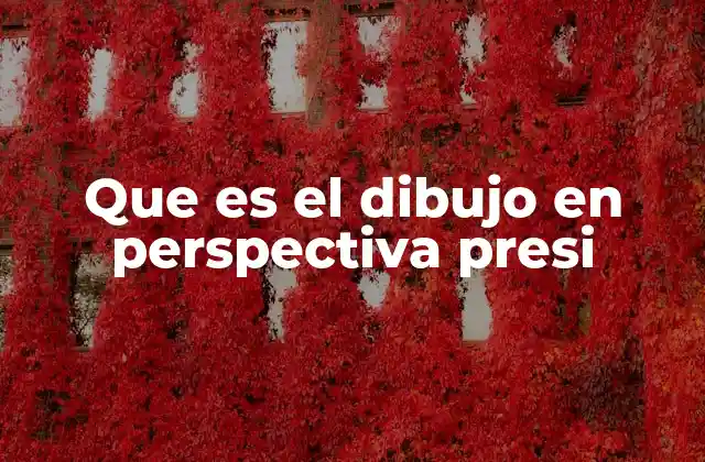 Que es el Dibujo en Perspectiva Presi