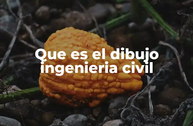 Que es el Dibujo Ingenieria Civil