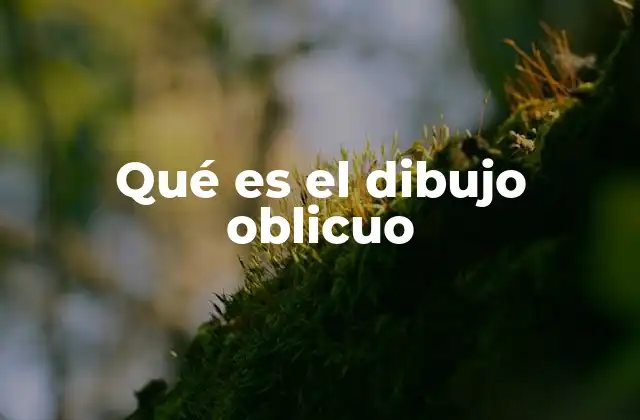 Qué es el Dibujo Oblicuo