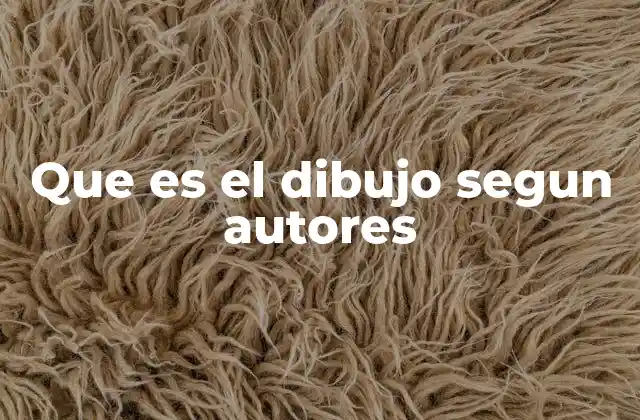 Que es el Dibujo Segun Autores