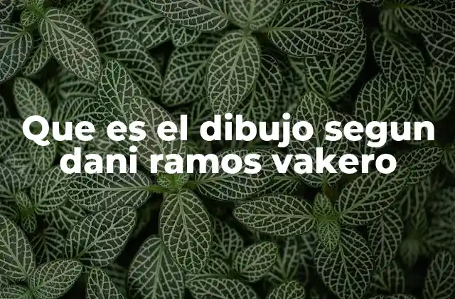 Que es el Dibujo Segun Dani Ramos Vakero 2 El dibujo como lenguaje universal