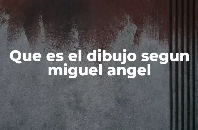 Que es el Dibujo Segun Miguel Angel