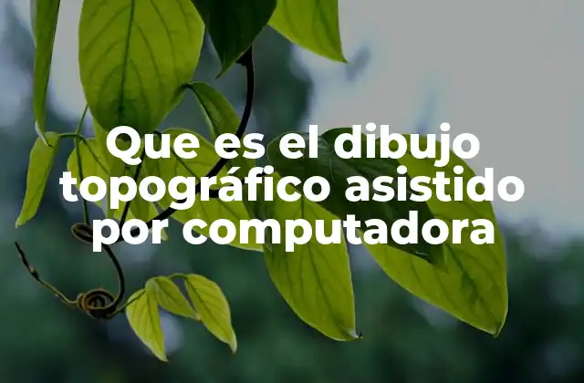 Que es el Dibujo Topográfico Asistido por Computadora