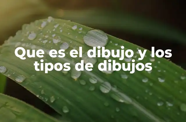 Que es el Dibujo y los Tipos de Dibujos 2 La importancia del dibujo en la expresión visual