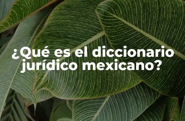 ¿qué es el Diccionario Jurídico Mexicano?