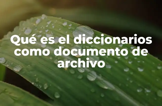 La importancia de los diccionarios en el contexto archivístico