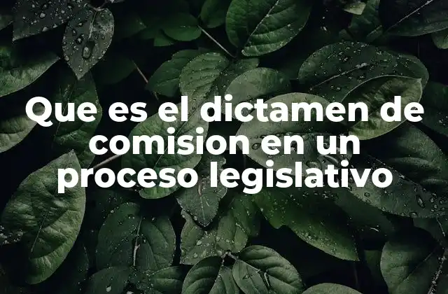Que es el Dictamen de Comision en un Proceso Legislativo
