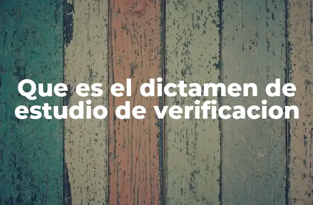 El papel del dictamen en la gestión de proyectos