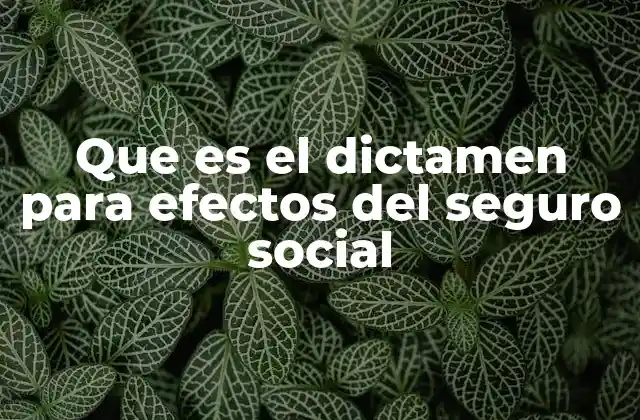 Que es el Dictamen para Efectos Del Seguro Social