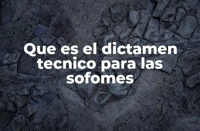 Que es el Dictamen Tecnico para las Sofomes