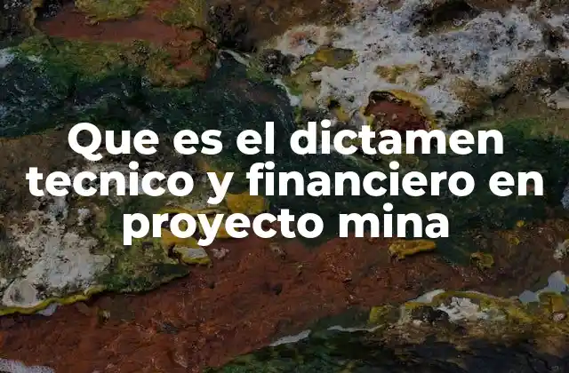Que es el Dictamen Tecnico y Financiero en Proyecto Mina