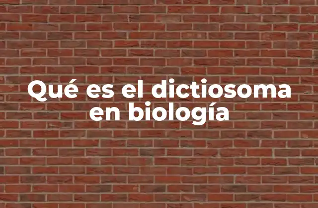 Qué es el Dictiosoma en Biología