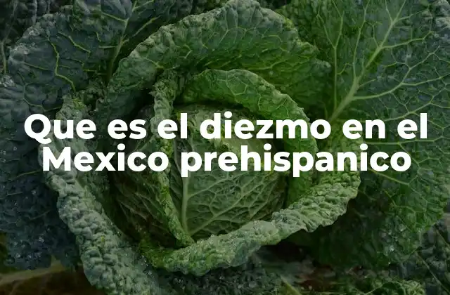 Que es el Diezmo en el Mexico Prehispanico