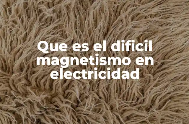 Que es el Dificil Magnetismo en Electricidad